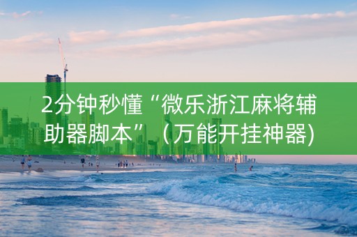 2分钟秒懂“微乐浙江麻将辅助器脚本”（万能开挂神器)