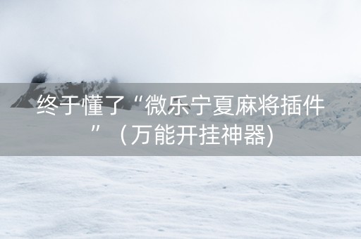 终于懂了“微乐宁夏麻将插件”（万能开挂神器)