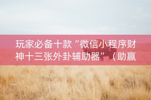 玩家必备十款“微信小程序财神十三张外卦辅助器”（助赢神器)