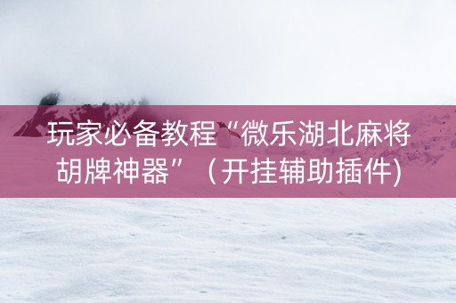 玩家必备教程“微乐湖北麻将胡牌神器”（开挂辅助插件)