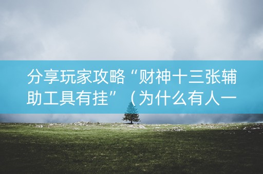 分享玩家攻略“财神十三张辅助工具有挂”（为什么有人一直赢)