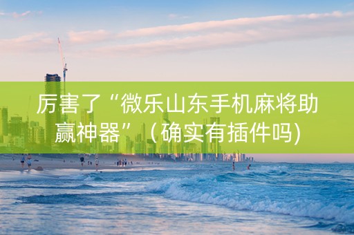 厉害了“微乐山东手机麻将助赢神器”（确实有插件吗)