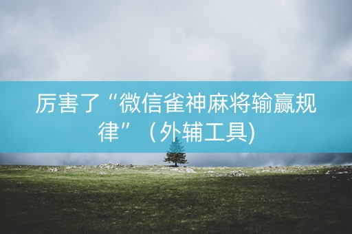 厉害了“微信雀神麻将输赢规律”（外辅工具)