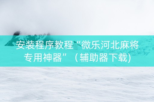 安装程序教程“微乐河北麻将专用神器”（辅助器下载)