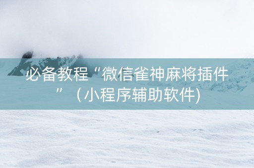 必备教程“微信雀神麻将插件”（小程序辅助软件)