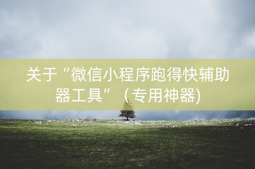 关于“微信小程序跑得快辅助器工具”（专用神器)