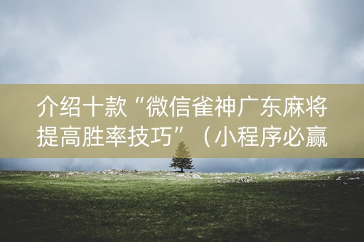 介绍十款“微信雀神广东麻将提高胜率技巧”（小程序必赢神器)