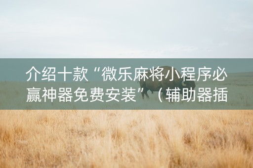 介绍十款“微乐麻将小程序必赢神器免费安装”（辅助器插件)