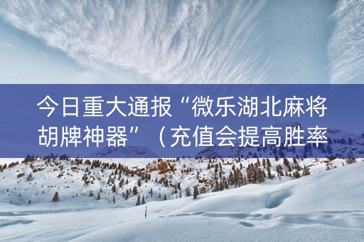 今日重大通报“微乐湖北麻将胡牌神器”（充值会提高胜率么)