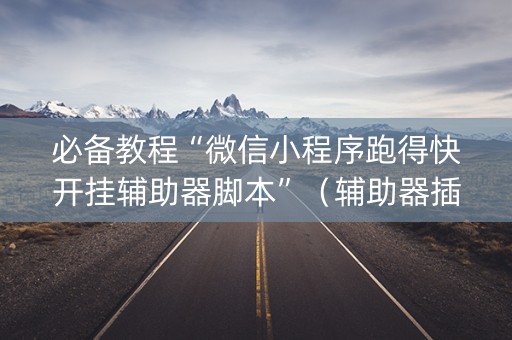 必备教程“微信小程序跑得快开挂辅助器脚本”（辅助器插件)