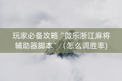 玩家必备攻略“微乐浙江麻将辅助器脚本”（怎么调胜率)