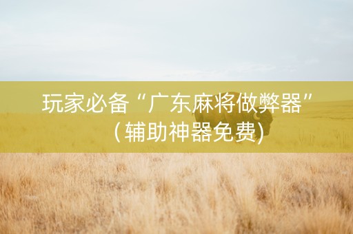 玩家必备“广东麻将做弊器”（辅助神器免费)