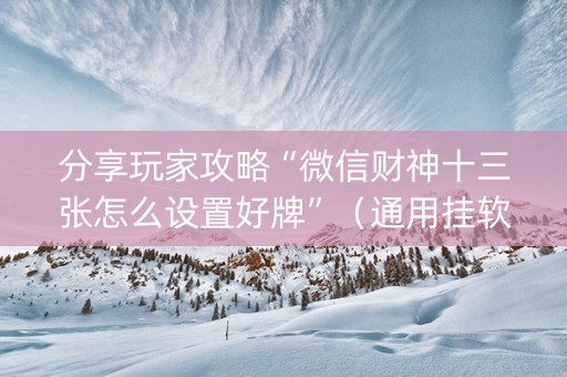 分享玩家攻略“微信财神十三张怎么设置好牌”（通用挂软件多少钱)