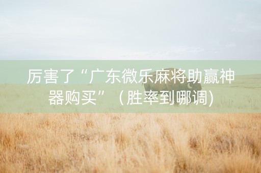 厉害了“广东微乐麻将助赢神器购买”（胜率到哪调)