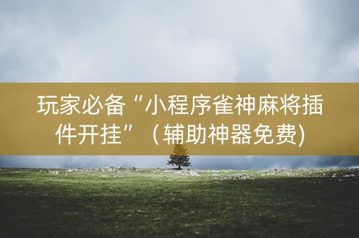 玩家必备“小程序雀神麻将插件开挂”（辅助神器免费)
