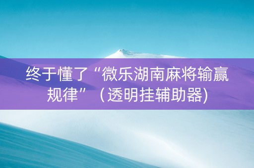 终于懂了“微乐湖南麻将输赢规律”（透明挂辅助器)