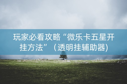 玩家必看攻略“微乐卡五星开挂方法”（透明挂辅助器)