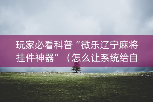 玩家必看科普“微乐辽宁麻将挂件神器”（怎么让系统给自己好牌)