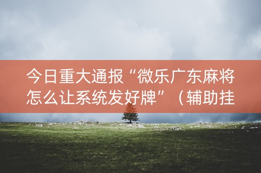 今日重大通报“微乐广东麻将怎么让系统发好牌”（辅助挂发牌规律)
