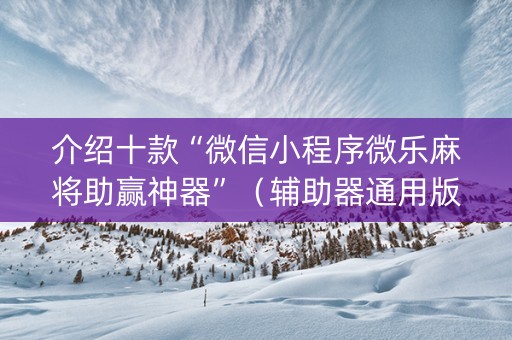 介绍十款“微信小程序微乐麻将助赢神器”（辅助器通用版)
