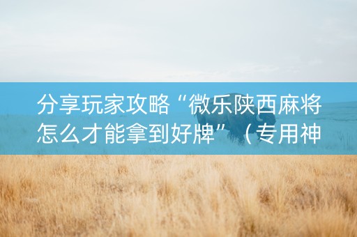 分享玩家攻略“微乐陕西麻将怎么才能拿到好牌”（专用神器下载)