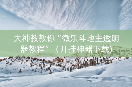 大神教教你“微乐斗地主透明器教程”（开挂神器下载)