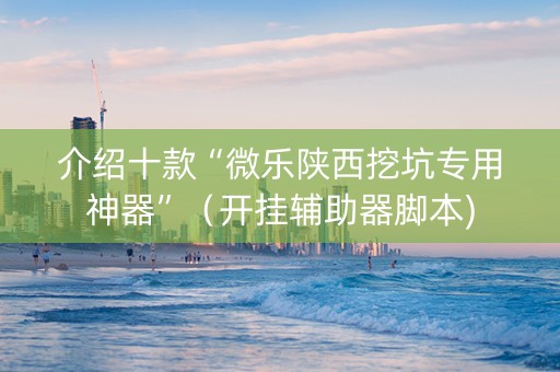 介绍十款“微乐陕西挖坑专用神器”（开挂辅助器脚本)