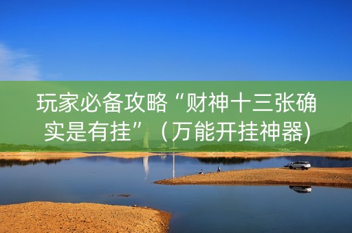 玩家必备攻略“财神十三张确实是有挂”（万能开挂神器)