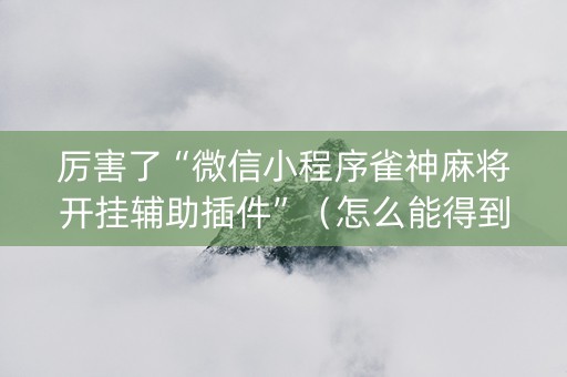 厉害了“微信小程序雀神麻将开挂辅助插件”（怎么能得到好牌)