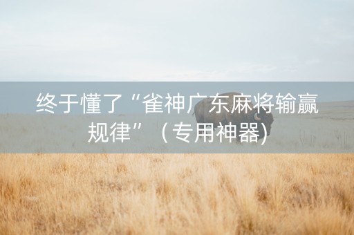 终于懂了“雀神广东麻将输赢规律”（专用神器)