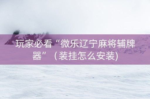 玩家必看“微乐辽宁麻将辅牌器”（装挂怎么安装)