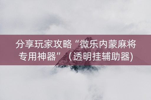 分享玩家攻略“微乐内蒙麻将专用神器”（透明挂辅助器)