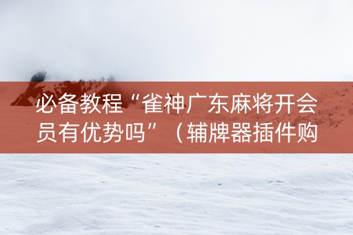 必备教程“雀神广东麻将开会员有优势吗”（辅牌器插件购买)