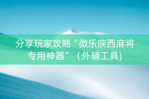 分享玩家攻略“微乐陕西麻将专用神器”（外辅工具)