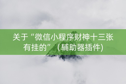 关于“微信小程序财神十三张有挂的”（辅助器插件)