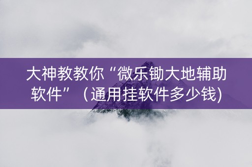 大神教教你“微乐锄大地辅助软件”（通用挂软件多少钱)