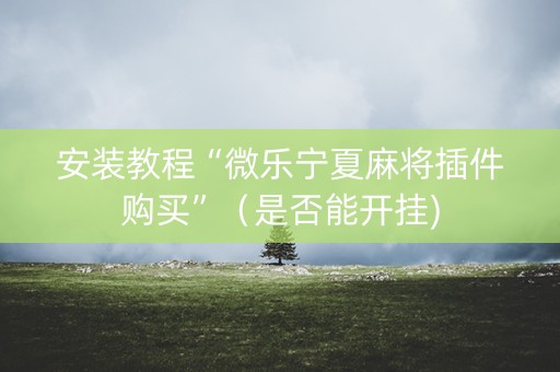 安装教程“微乐宁夏麻将插件购买”（是否能开挂)
