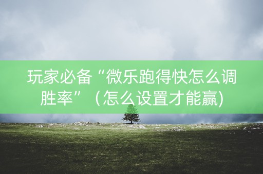 玩家必备“微乐跑得快怎么调胜率”（怎么设置才能赢)