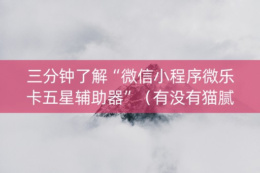 三分钟了解“微信小程序微乐卡五星辅助器”（有没有猫腻)