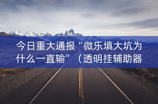 今日重大通报“微乐填大坑为什么一直输”（透明挂辅助器)