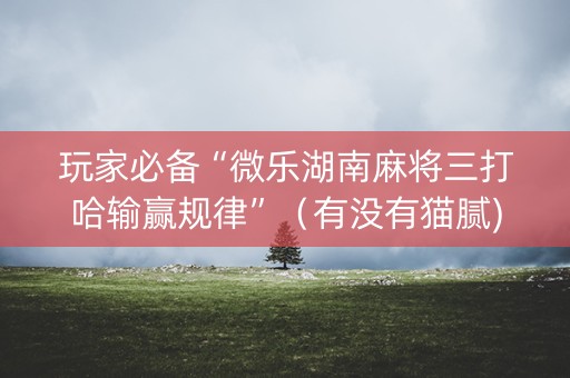 玩家必备“微乐湖南麻将三打哈输赢规律”（有没有猫腻)
