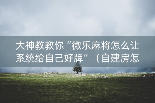 大神教教你“微乐麻将怎么让系统给自己好牌”（自建房怎么拿好牌)
