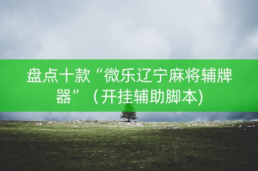 盘点十款“微乐辽宁麻将辅牌器”（开挂辅助脚本)