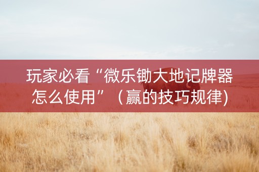 玩家必看“微乐锄大地记牌器怎么使用”（赢的技巧规律)