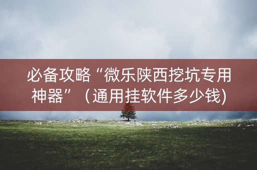 必备攻略“微乐陕西挖坑专用神器”（通用挂软件多少钱)