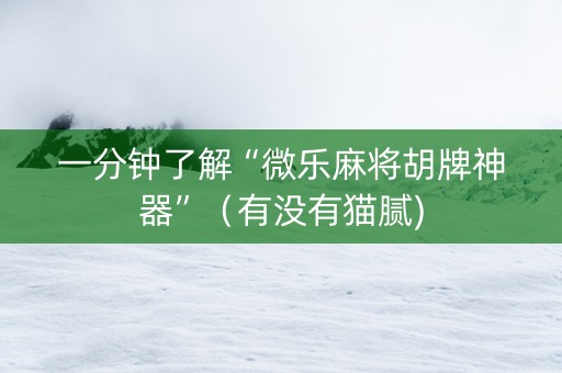 一分钟了解“微乐麻将胡牌神器”（有没有猫腻)