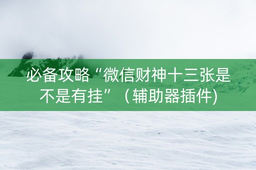 必备攻略“微信财神十三张是不是有挂”（辅助器插件)
