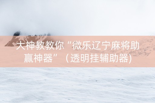 大神教教你“微乐辽宁麻将助赢神器”（透明挂辅助器)