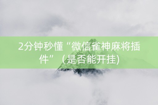 2分钟秒懂“微信雀神麻将插件”（是否能开挂)