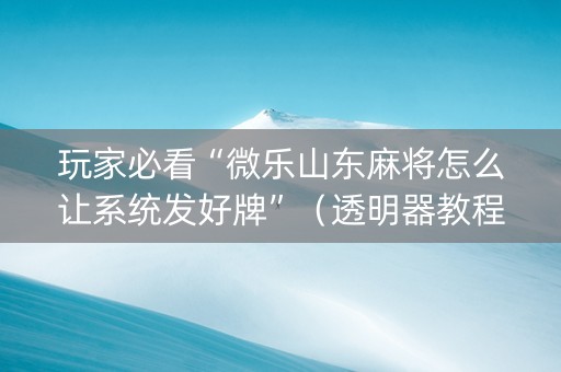 玩家必看“微乐山东麻将怎么让系统发好牌”（透明器教程)